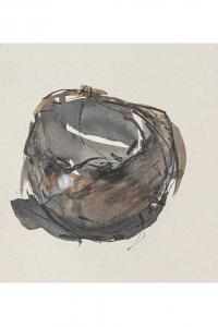 Emmanuelle Gallice, Dessin, Nids, n° 1