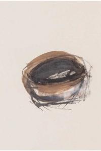 Emmanuelle Gallice, Dessin, Nids, n° 4