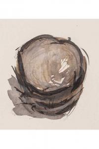 Emmanuelle Gallice, Dessin, Nids, n° 5