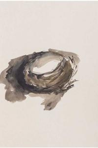 Emmanuelle Gallice, Dessin, Nids, n° 6