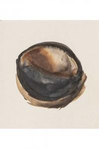 Emmanuelle Gallice, Dessin, Nids, n° 7