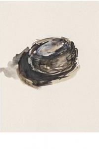 Emmanuelle Gallice, Dessin, Nids, n° 10