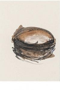 Emmanuelle Gallice, Dessin, Nids, n° 11