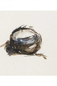 Emmanuelle Gallice, Emmanuelle Gallice, Dessin, Nids, n° 12