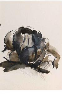 Emmanuelle Gallice, Dessin, Végétaux, n° 2